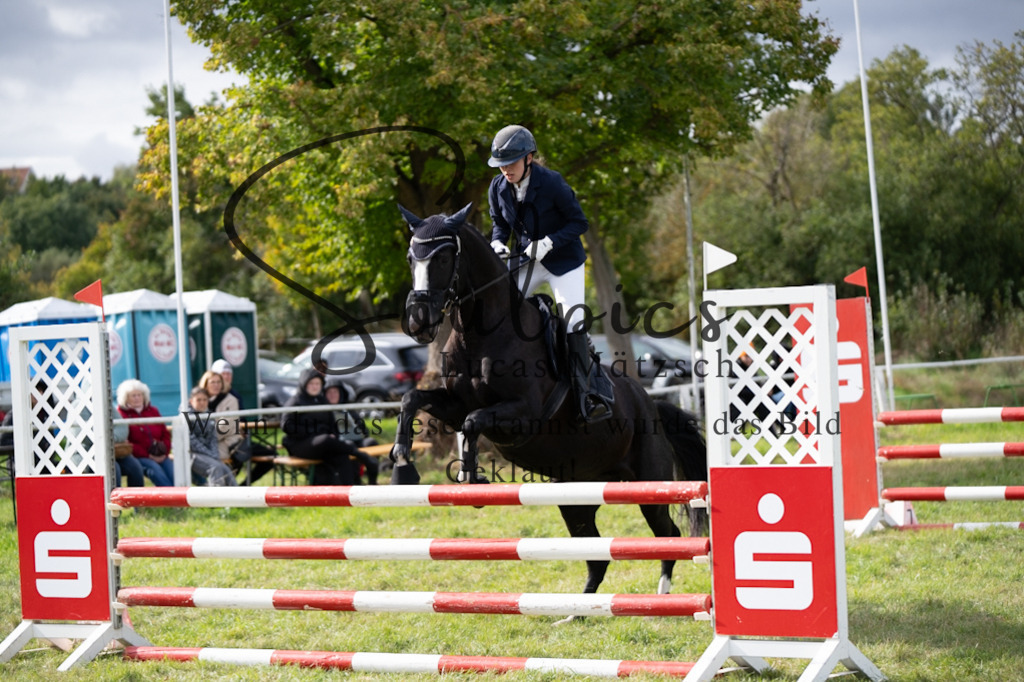 A7V06770 | Pferdefotograf