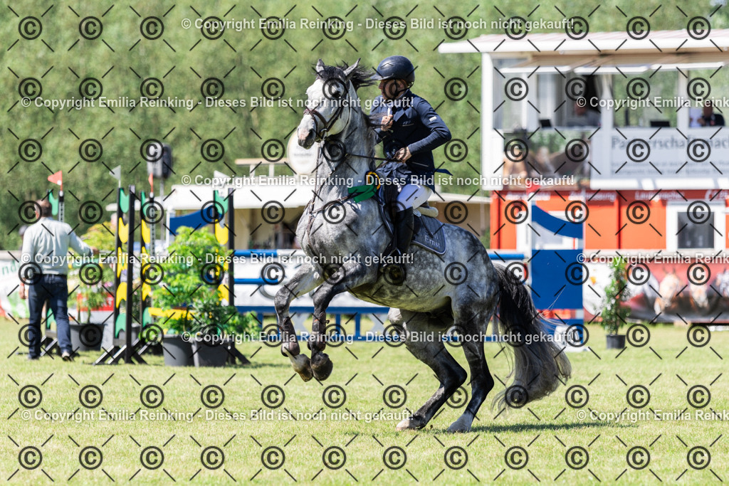 CL5A8600 | Emilia Reinking Fotografie - Realisiert mit Pictrs.com