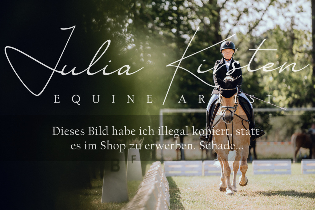 DSC_7147 | Pferde- und Turnierfotografie in Westsachsen. Pferdeportraits, Auftragszeichnungen und intuitive Kunst.