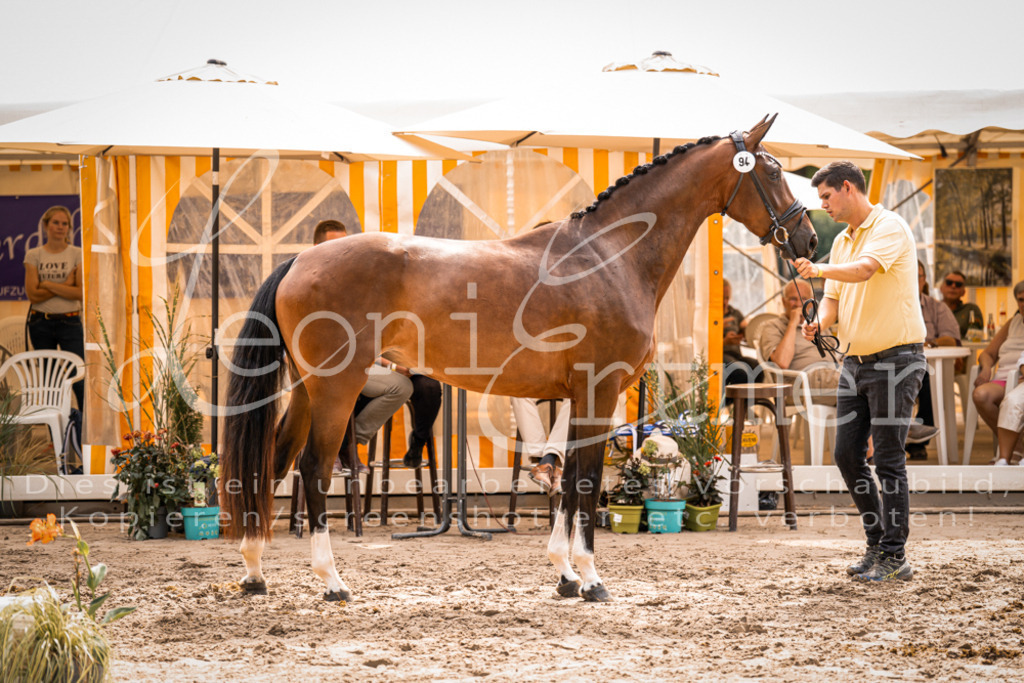 6.Fr00135 | Leoni Ertmer Photography - Realisiert mit Pictrs.com