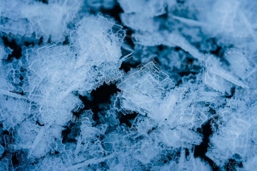 20221217_0001_PaulHense_DSC06072 | paulhense - Realisiert mit Pictrs.com