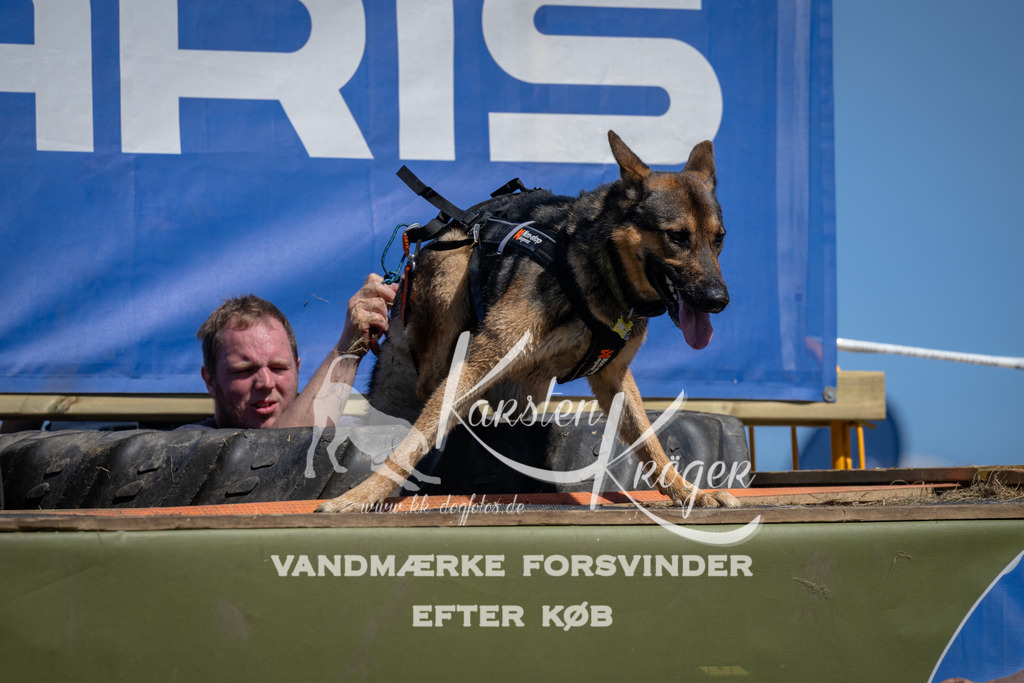 1252_ZZ97015 | kk-dogfotos