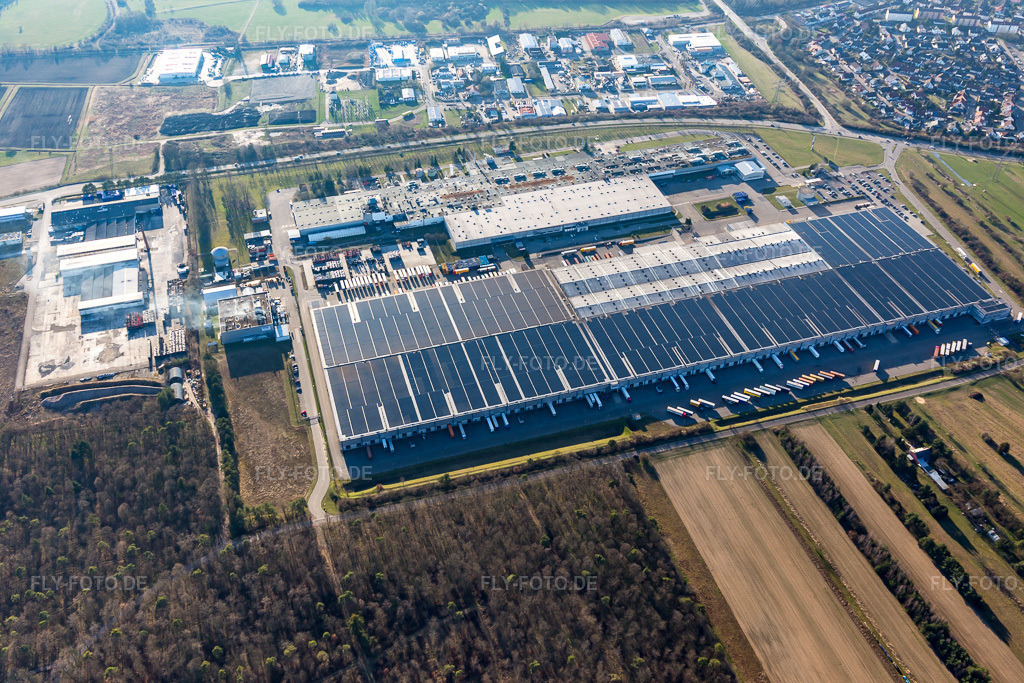 Luftbild: Goodyear Dunlop Tyres Germany in Philippsburg im Bundesland Baden-Württemberg in Deutschland. Foto: IMG_097335.jpg vom 10.03.2017 durch Werner Riehm/FLY-FOTO.de