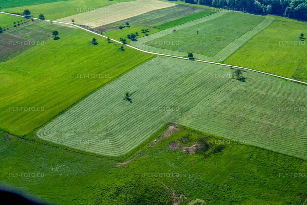 Vue aérienne: Prairies fauchées à Weiterswiller dans le département Bas Rhin, France – .Photo: IMG_10873.jpg prise le 12/05/2008 par Werner Riehm/FLY-FOTO.eu – Résolution de l'original: 3456 x 2304 px