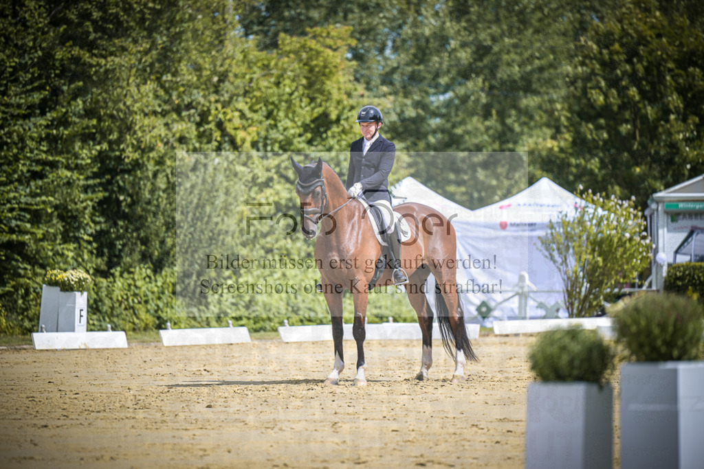 DOS_0744 | Entdecke hochwertige Reitturnierfotos von Foto Oger. Professionell, emotional und authentisch – jetzt Lieblingsmomente im Shop bestellen.Deutschlandweite Turnierfotografie. - Realisiert mit Pictrs.com