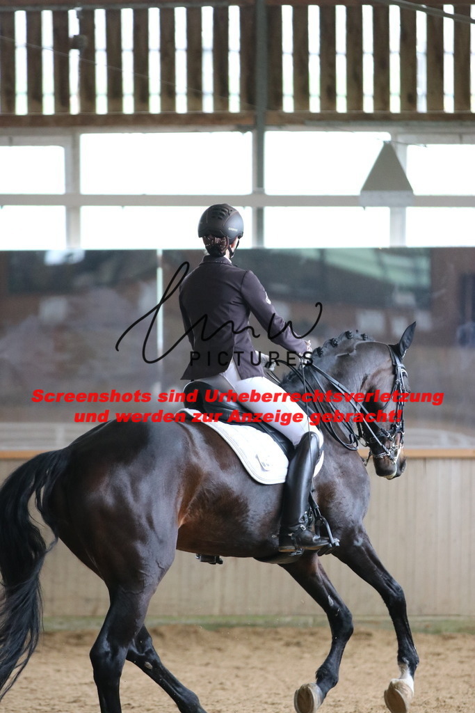 IMG_0204 | lmwpictures - Realisiert mit Pictrs.com