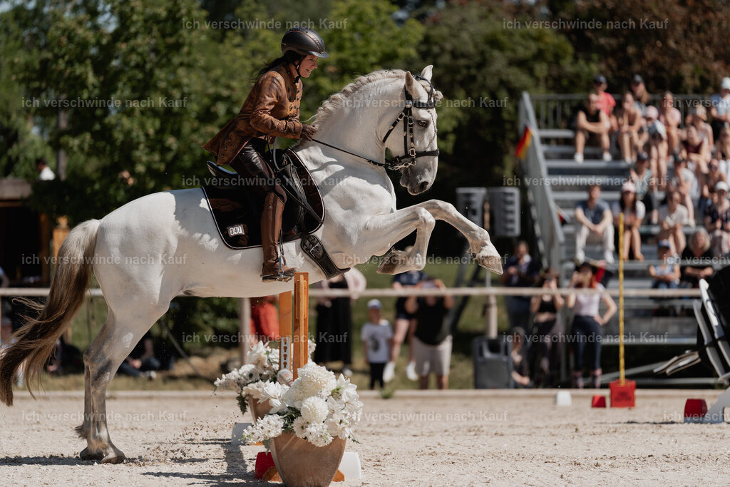 WE_SP_Stoib_347_PI2025_1524 | Pferd International München 2025
