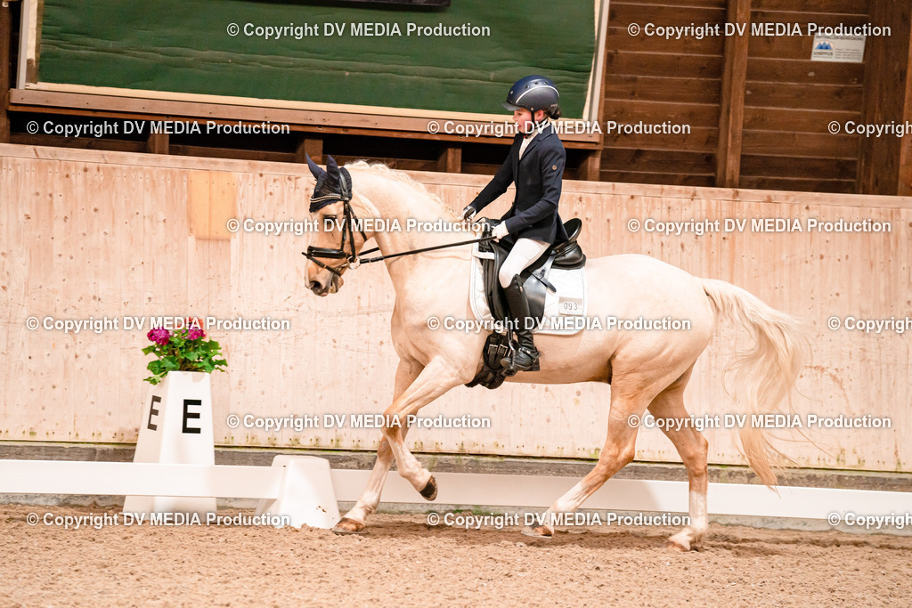 Dressur Tag 2-42 | dv-media-shop - Realisiert mit Pictrs.com