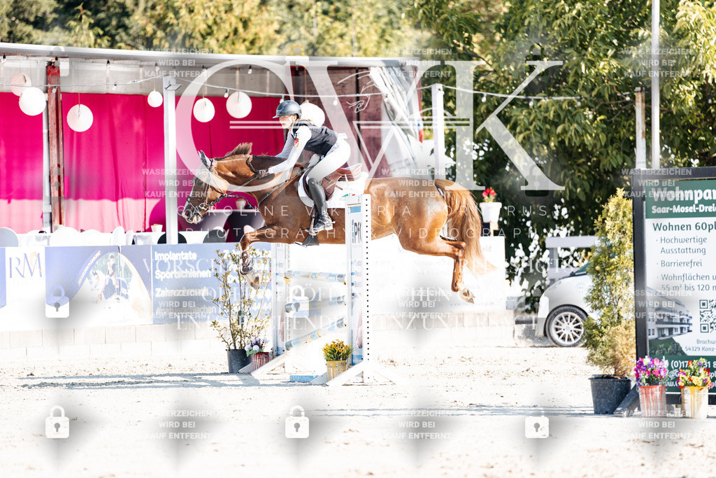 CK901873 | Turnierfotografie Pferdefotografie Trier Rheinland-Pfalz Pferdesport Reitsport Tierfotografie Sportfotografie Pferdevideo Pferdevideografie Equestrianvideography equestrianphotography  - Realisiert mit Pictrs.com