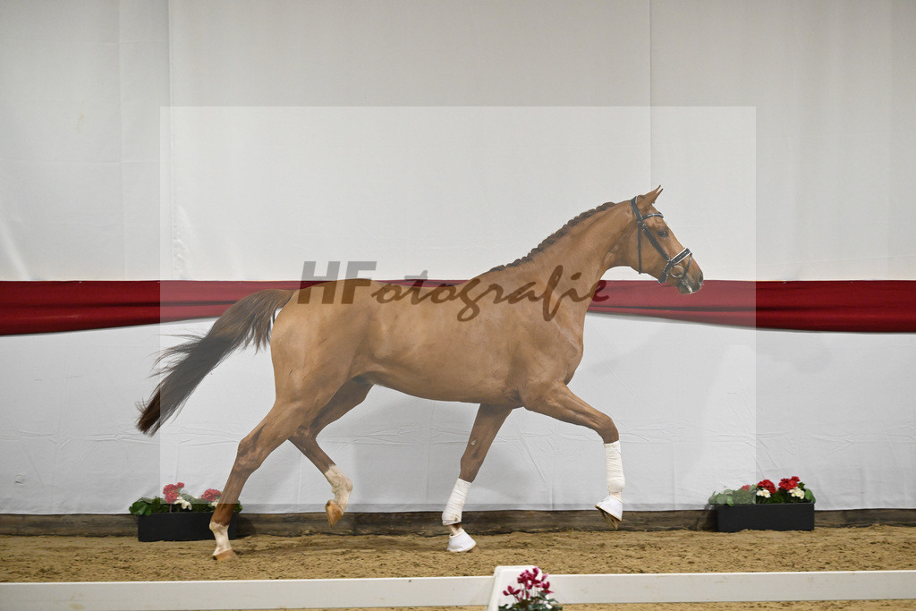 Kat-Nr. 52 v. Vivino_ZG Syha u Winkler_63221454 | hf-fotografie - Realizzato con Pictrs.com