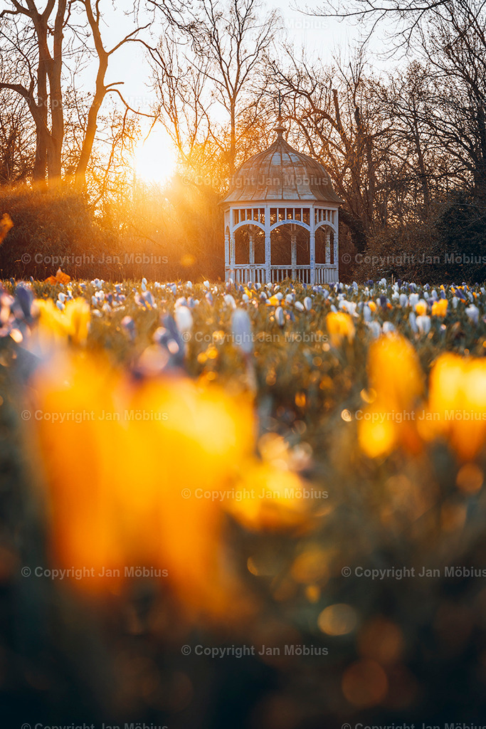_DSC0522 | Leipzig Wandbilder Drucke Prints Leinwand Stadtmotive Leipzig Fotosdruck Kunstdrucke Bilder Leipzig Stadtansichten Acrylglasbilder Leipzig Wanddeko Fine Art Prints Wandbilder Büro Leipzig Bilder Praxis Zuhause Bilderdruck Poster Posterlounge Kunstdrucke - Realisiert mit Pictrs.com