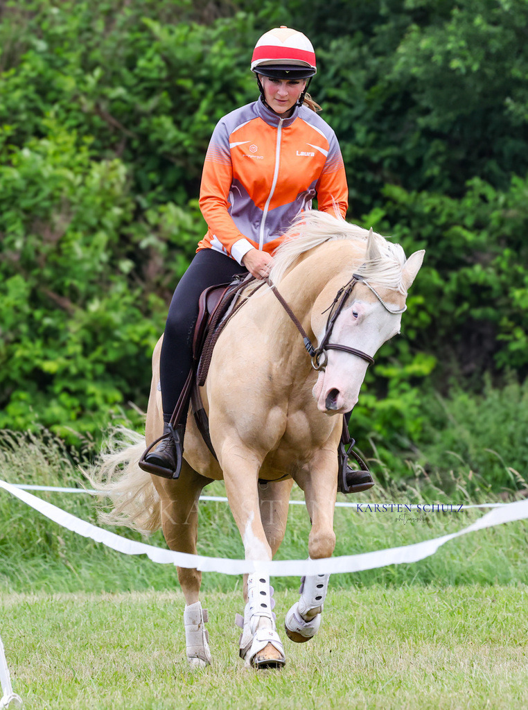 1B3A2957 | Reitsport Reiten