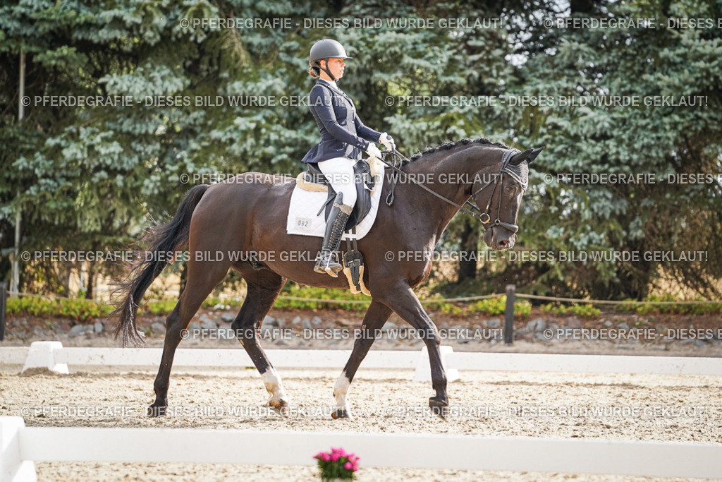 DSC00980 | Pferdegrafie