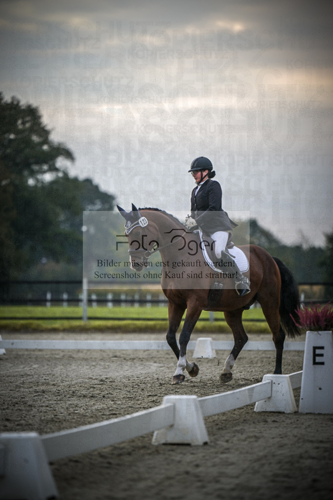 DOS_1264 | Entdecke hochwertige Reitturnierfotos von Foto Oger. Professionell, emotional und authentisch – jetzt Lieblingsmomente im Shop bestellen.Deutschlandweite Turnierfotografie. - Realisiert mit Pictrs.com