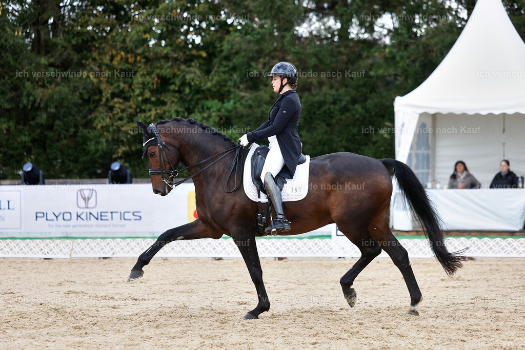 10-193-ST.GEORG SPECIAL -StoibPH-3244 | working equitationturnier fotograf videograf stoibphotography marixx film working equitation deutschland reitsport turnierfotografie eventfotografie equestrian events