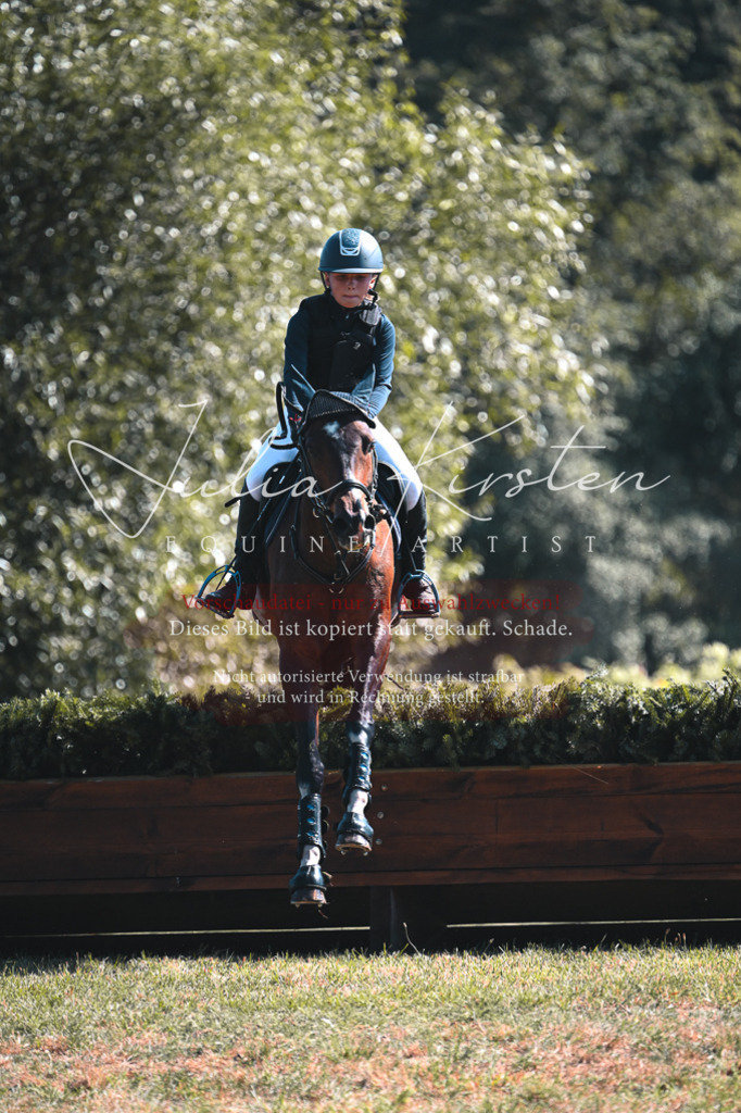 DSC_8381 | Pferde- und Turnierfotografie in Westsachsen. Pferdeportraits, Auftragszeichnungen und intuitive Kunst.