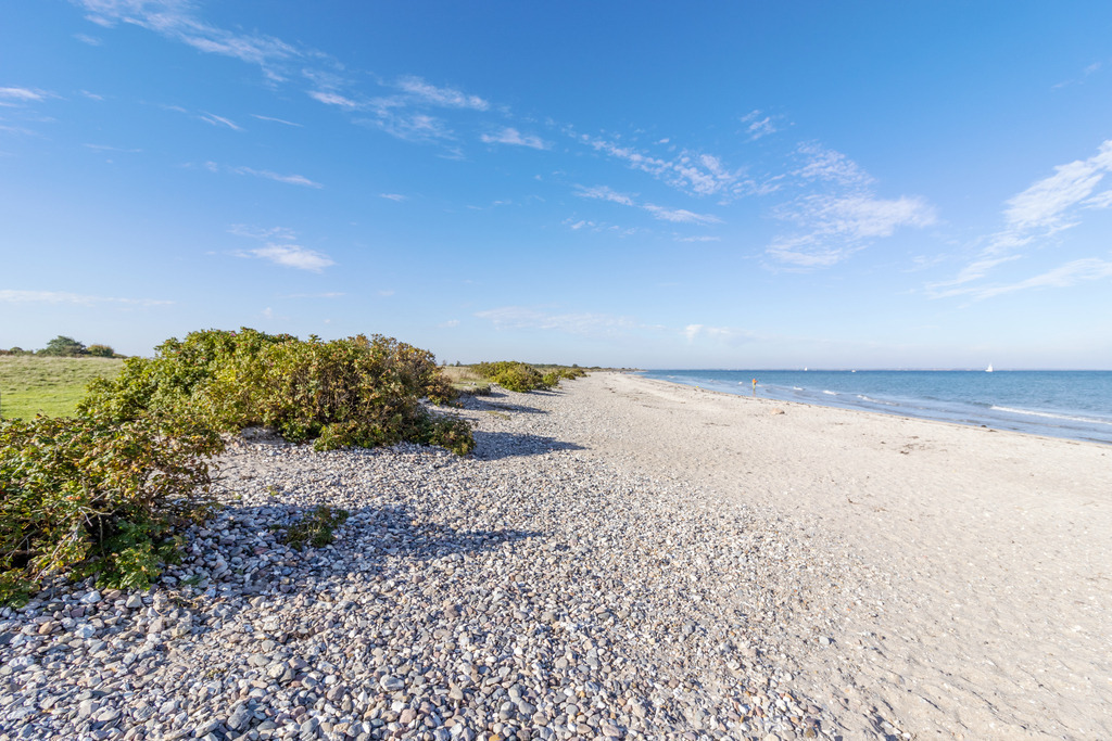 Wandbild: Strand in Falshöft an der Ostsee | Dieses Wandbild im Querformat zeigt den schönen Ostseestrand in Falshöft. Auf der linken Seite befinden sich direkt am Strand Heckenrosen. Am blauen Himmel gibt es nur wenige Wolken.  - Realisiert mit Pictrs.com