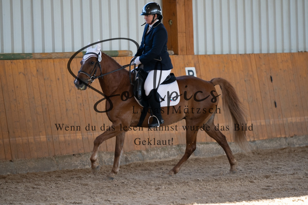A7V01742 | Turnier/Reitfotograf