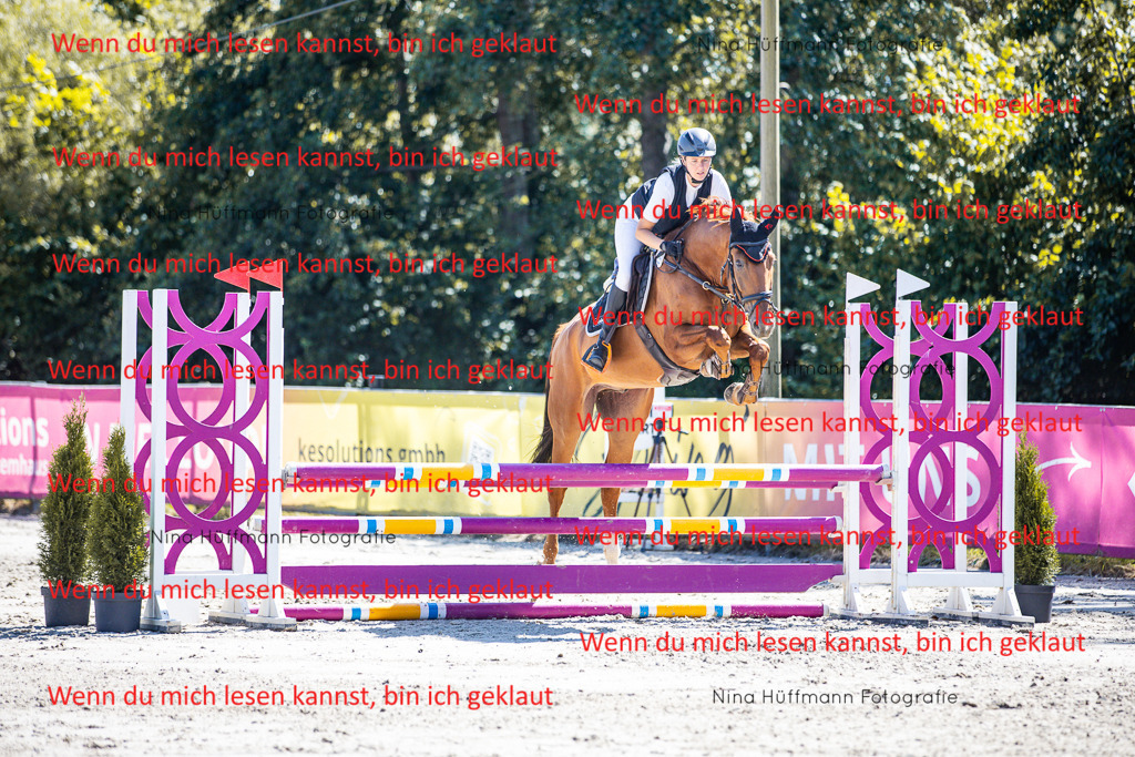 BK1A5506 | Turnierbilder Turnierfotos Nina Hüffmann Turnierfotografie Pferdefotografie Tierzeichnung Haustierzeichnung Pferdezeichnung Hundezeichnung Videograf  - Realisiert mit Pictrs.com