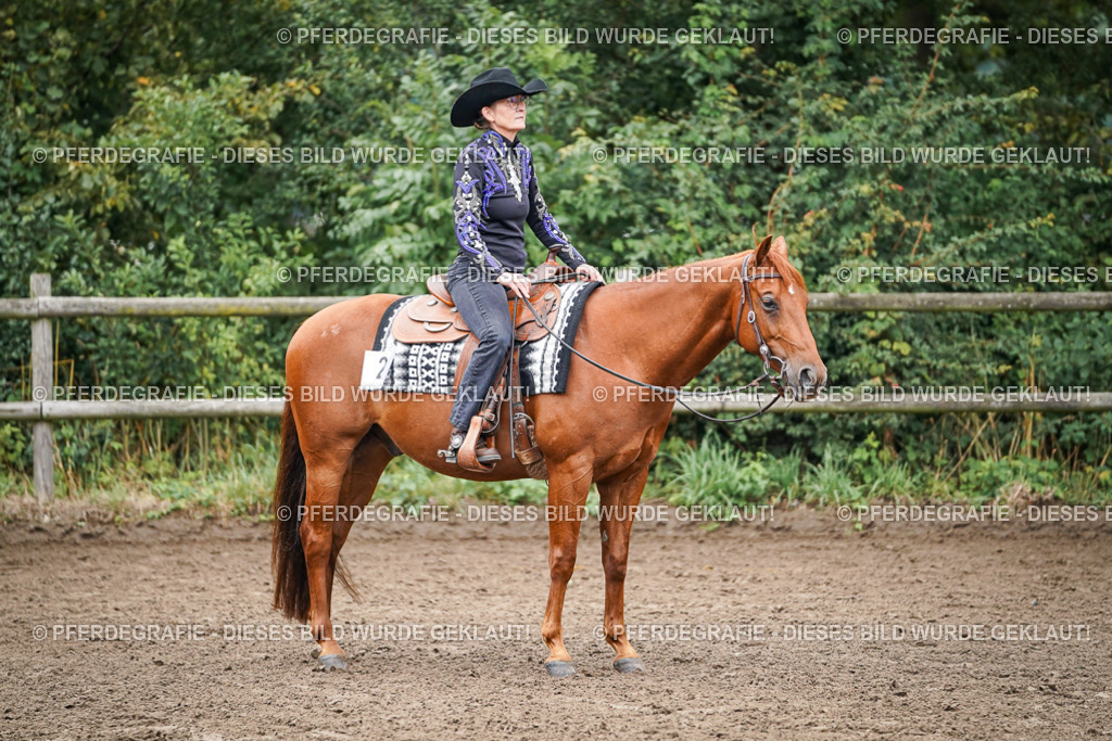 DSC01703 | Pferdegrafie