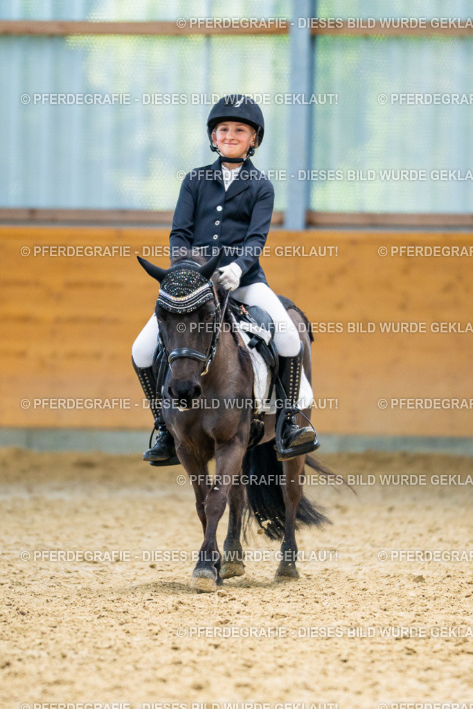 DSC09174 | Pferdegrafie