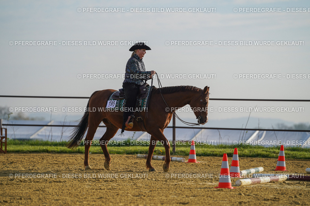 DSC00595 | Pferdegrafie