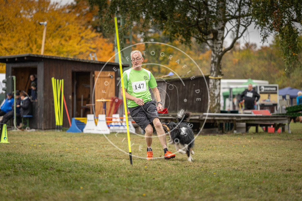 Pfotenfotografie_DV3A6225 | Hundefotografie, Tierfotograf, Pfotenfotografie, Fotoshooting Hund, Hunde Portrait, Hundesport, Hundeportraits, Heideshooting, Hunde, Sportfotograf, Hundefotograf, Turnierhundsport, THS,  - Realisiert mit Pictrs.com