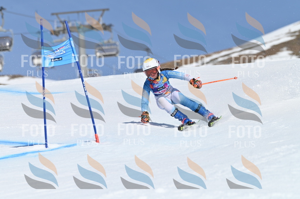 BGV_9511 | holidayphoto