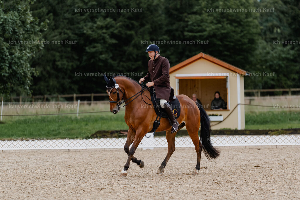 Gernot25_FHC2025-8990 | working equitationturnier fotograf videograf stoibphotography marixx film working equitation deutschland reitsport turnierfotografie eventfotografie equestrian events