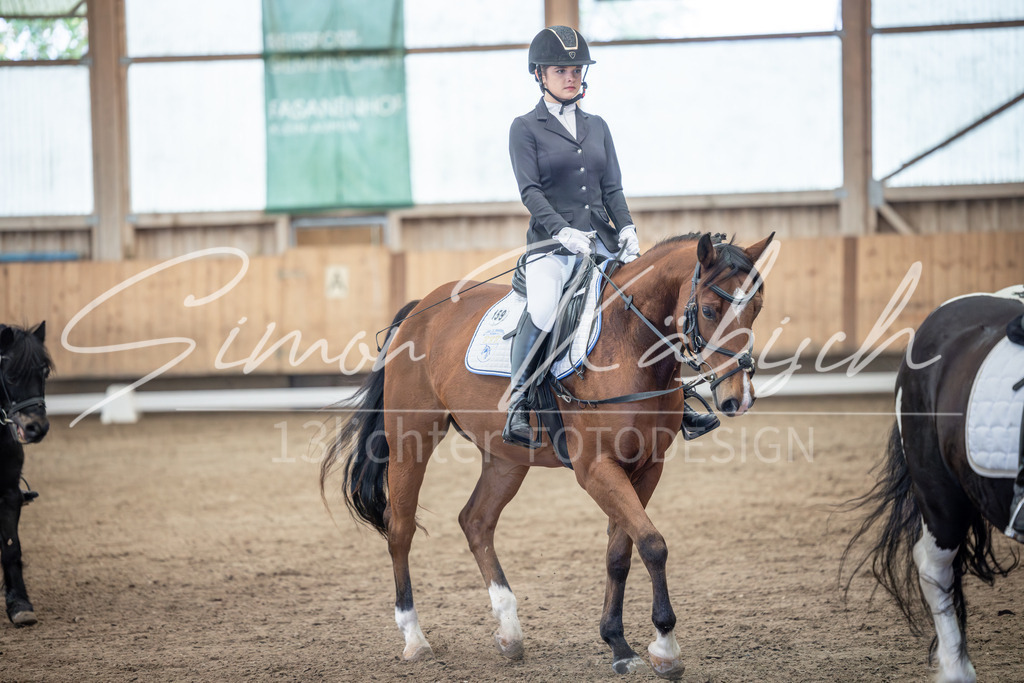 20251011-_3LI7917 | Tierfotografie Pferde, Hunde, Katzen, Haustiere.
Turnierfotografie Reitturniere, Reiten, Springreiten, Dressur in Hanau, dem Main-Kinzig-Kreis und dem Rhein-Main- Gebiet um Frankfurt