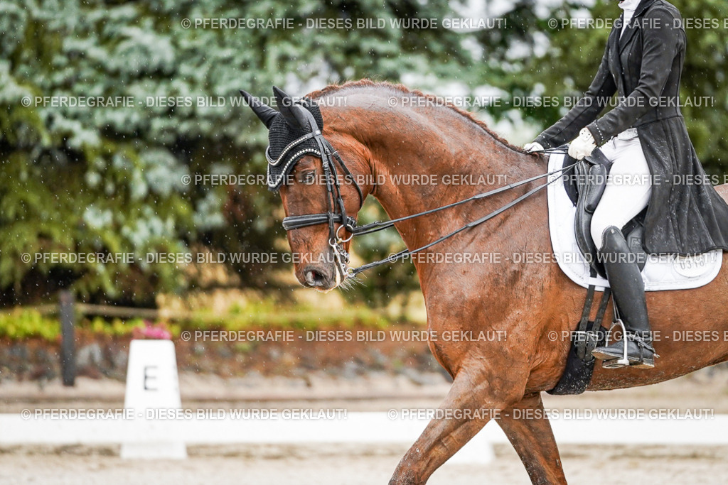 DSC09314 | Pferdegrafie