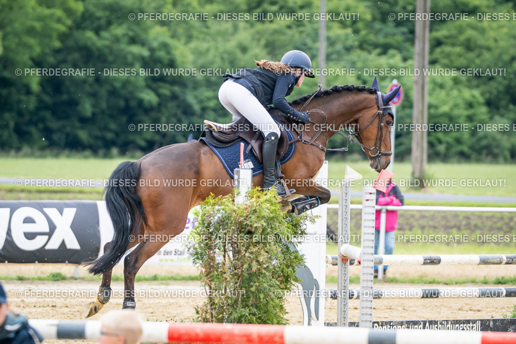 DSC05476 | Pferdegrafie