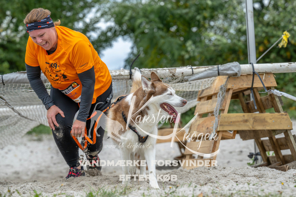 1031_ZZ94150 | kk-dogfotos