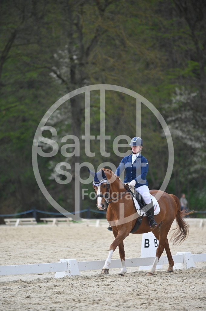 DSC_5051 | sattelsport - Realisiert mit Pictrs.com