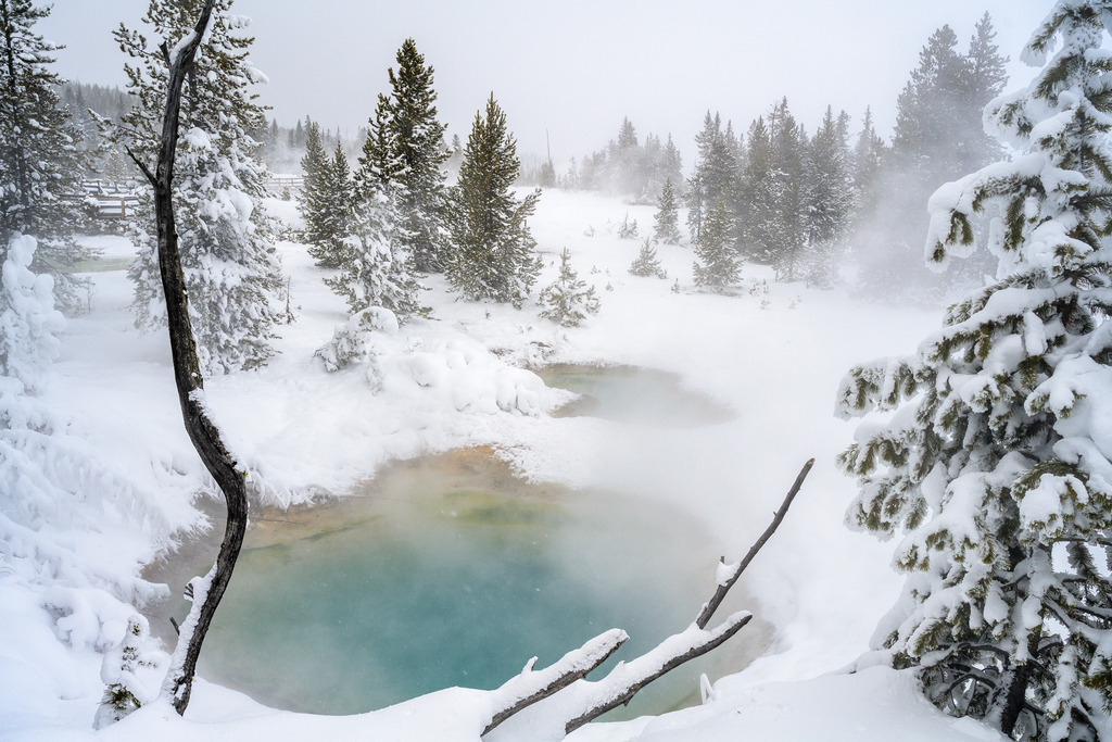 2024-129 | West Thumb Geyser Basin. - Realisiert mit Pictrs.com