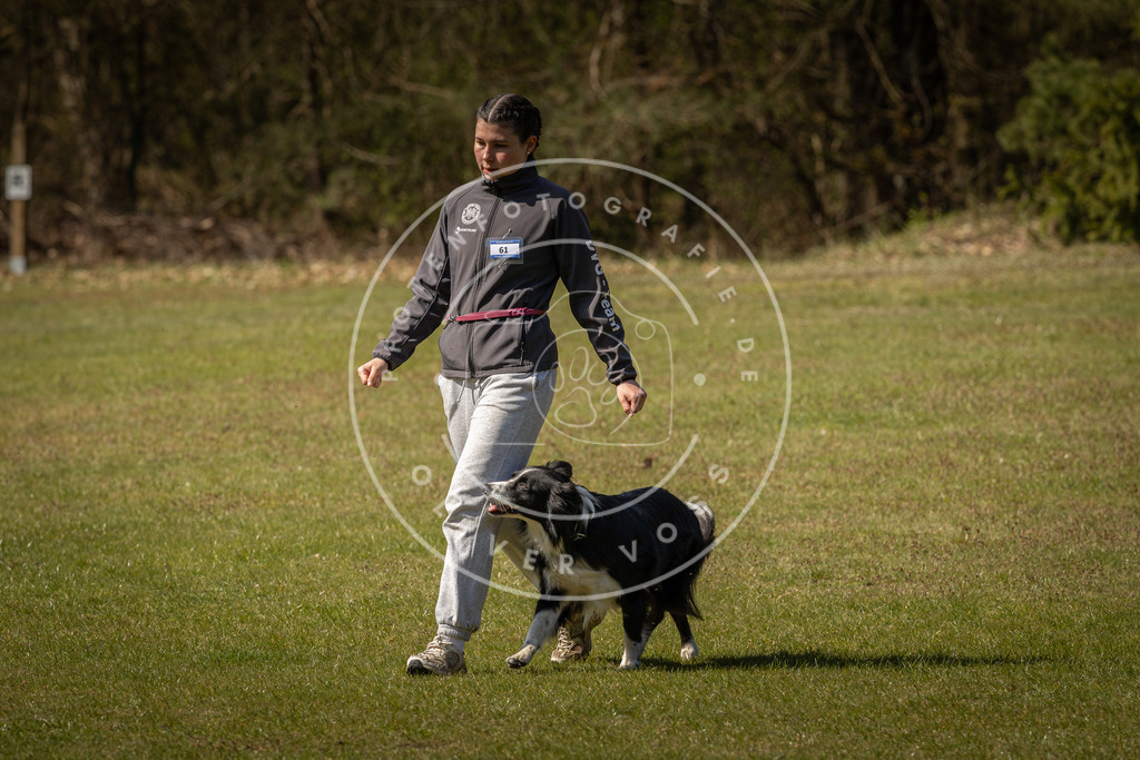 Pfotenfotografie_DV3A1048 | Hundefotografie, Tierfotograf, Pfotenfotografie, Fotoshooting Hund, Hunde Portrait, Hundesport, Hundeportraits, Heideshooting, Hunde, Sportfotograf, Hundefotograf, Turnierhundsport, THS,  - Realisiert mit Pictrs.com