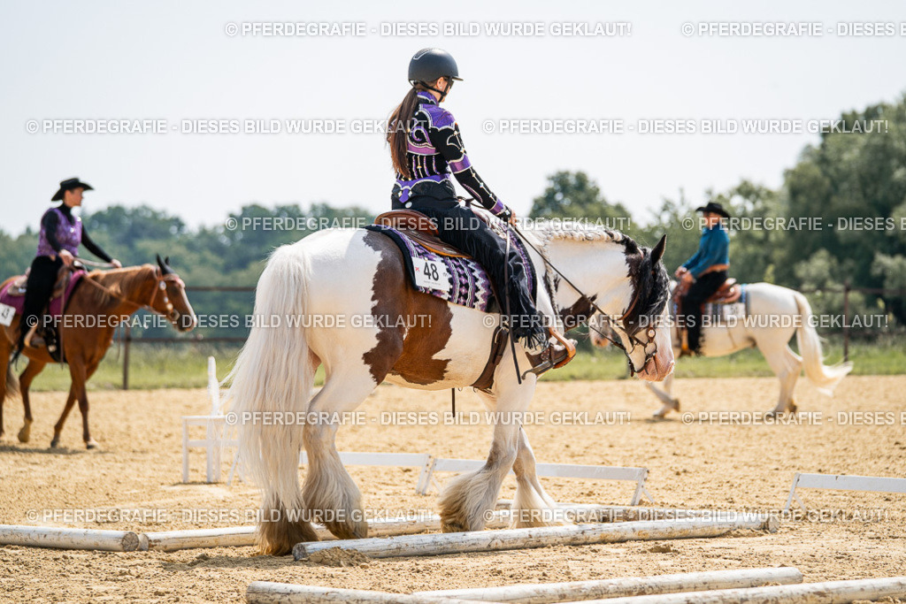 DSC00069 | Pferdegrafie