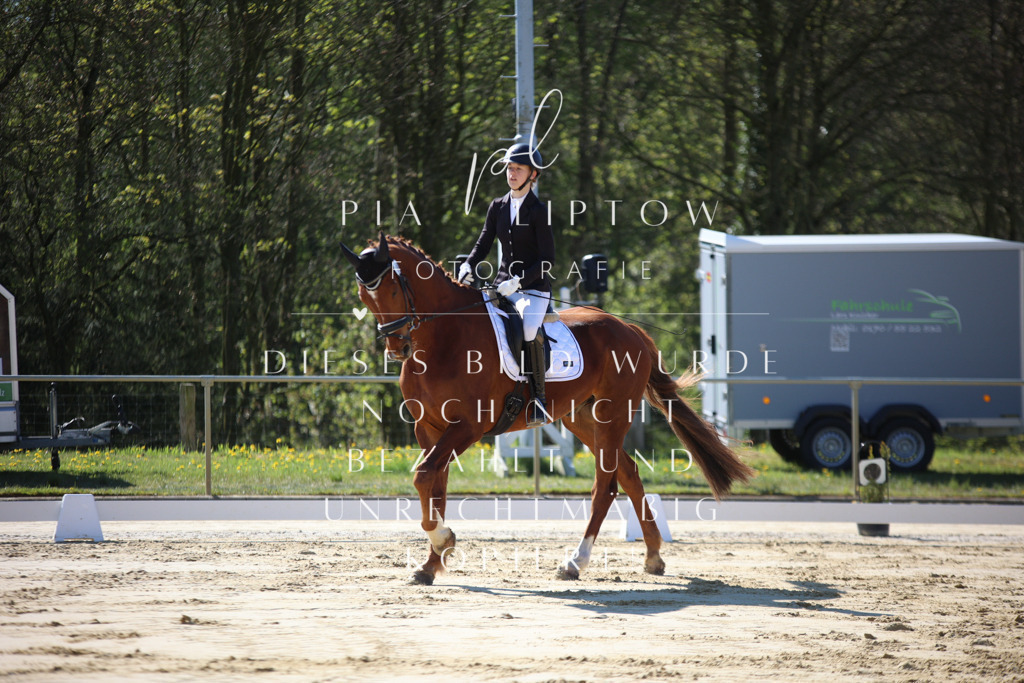 IMGT9355 | pl-fotografie