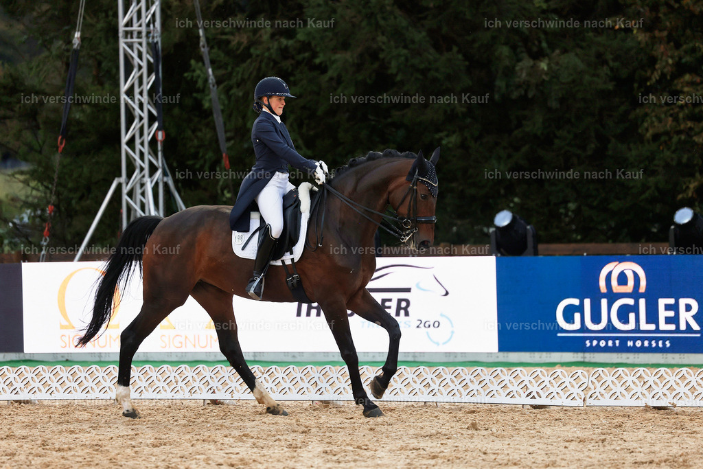 8_2-198-DRESSUR S_  -StoibPH-4547 | working equitationturnier fotograf videograf stoibphotography marixx film working equitation deutschland reitsport turnierfotografie eventfotografie equestrian events