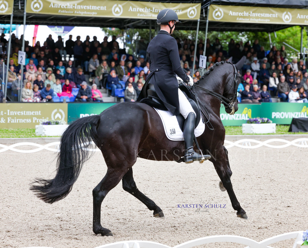 1B3A7754 | Reitsport Reiten