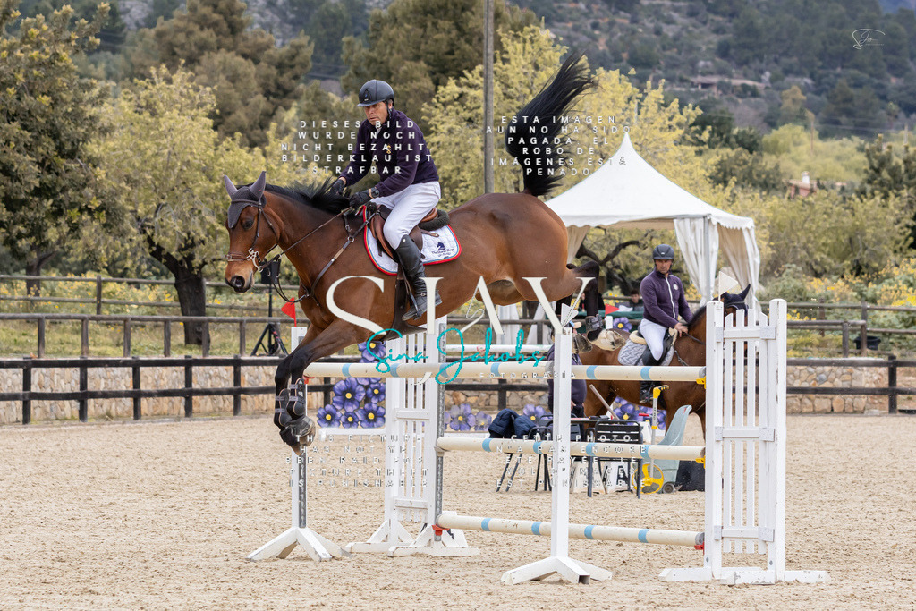 IMG_5285 | s-jay-photography - Realisiert mit Pictrs.com