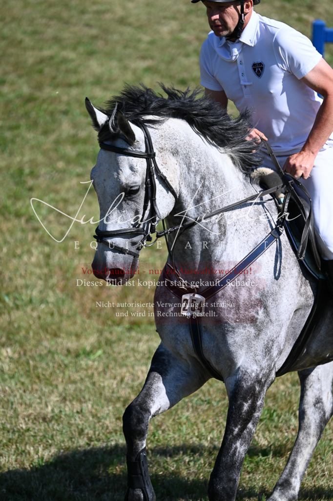 DSC_1859 | Pferde- und Turnierfotografie in Westsachsen. Pferdeportraits, Auftragszeichnungen und intuitive Kunst.