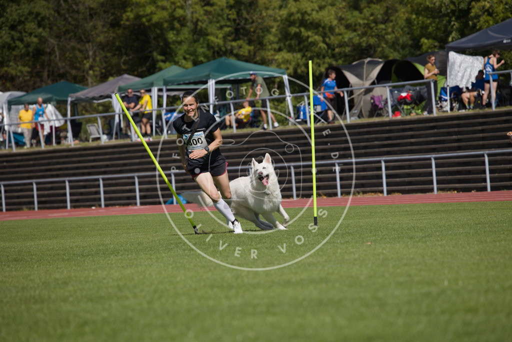 0L8A7199 | Hundefotografie, Tierfotograf, Pfotenfotografie, Fotoshooting Hund, Hunde Portrait, Hundesport, Hundeportraits, Heideshooting, Hunde, Sportfotograf, Hundefotograf, Turnierhundsport, THS,  - Realisiert mit Pictrs.com