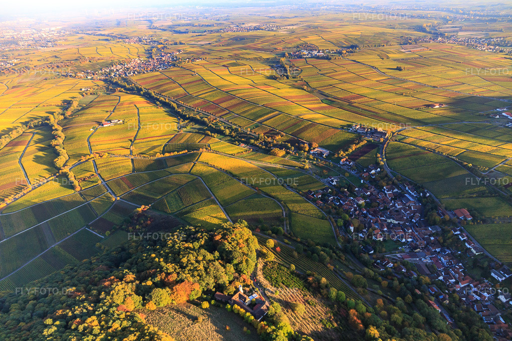 Luftbild: Hotel Leinsweiler Hof zwischen berbstlicht bunten Weinbergen in Leinsweiler im Bundesland Rheinland-Pfalz in Deutschland. Foto: IMG_095720.jpg vom 30.10.2016 durch Werner Riehm/FLY-FOTO.deUnvergessliche Momente im Urlaub - Leinsweiler Hof