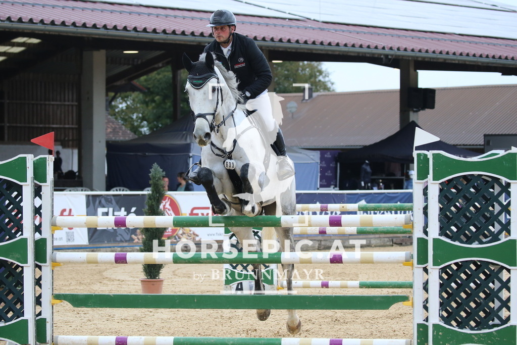 DL2Q2690 | Willkommen bei Brunnmayr - Design & Fotografie – Ihrem Spezialisten für Reitturniere und Pferdeveranstaltungen in Oberösterreich, Salzburg und Bayern! Seit über 17 Jahren sind wir leidenschaftlich dabei.