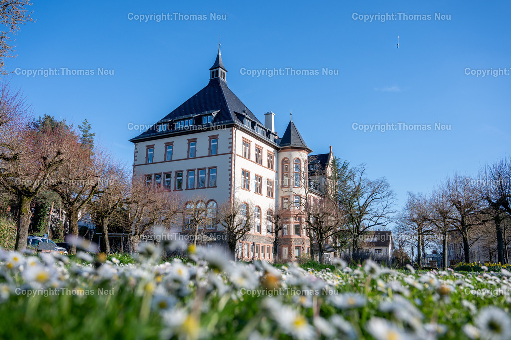DSC_2258 | Bensheim, das Rathaus mit Frühlingsblumen im Vordergrund, Wikipedia:Der Gebäudekomplex des ehemaligen Bischöflichen Konvikts befindet sich nördlich vom Stadtzentrum an der Kreuzung Kirchbergstraße und Wilhelmstraße. Der Massivbau wurde 1899/1900 errichtet. Die Pläne dazu kamen von dem Mainzer Dombaumeister Ludwig Becker. Zuvor befand sich das Konvikt in der Darmstädter Straße 56.[3]

Erst zehn Jahre nach der Fertigstellung wurde das Gebäude verputzt und die Innenräume ausgeschmückt. Die Ursache für die späte Fertigstellung waren die hohen Baukosten. Auf Druck des Nationalsozialisten wurde das Konvikt 1939 geschlossen und zum Lazarett umfunktioniert. Nach Ende des Zweiten Weltkriegs wurde es bis 1949 als Unterkunft für Displaced Persons genutzt. Anschließend wurde das Schülerheim St. Bonifatius im ehemaligen Bischöflichen Konvikt untergebracht. Es wurde 1981 aus Kostengründen vom Ordinariat geschlossen. Die Stadt Bensheim erwarb den Gebäudekomplex und führte umfangreiche Umbauten im Inneren durch, damit der größte Teil der Verwaltung der Stadt aus dem Rodensteiner Hof in das neue Rathaus ziehen konnte. Die ehemalige Kapelle wird jetzt als Sitzungssaal genutzt.[3],, Bild: Thomas Neu