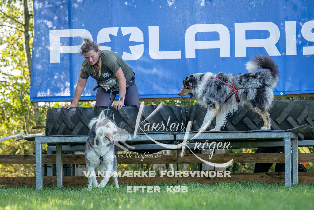 1015--5 | kk-dogfotos