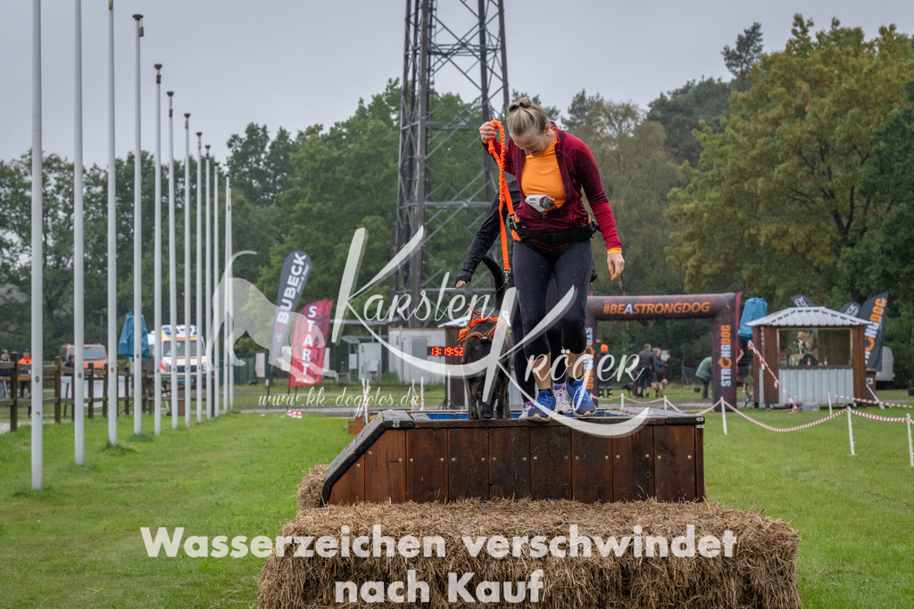 1321-93459 | kk-dogfotos