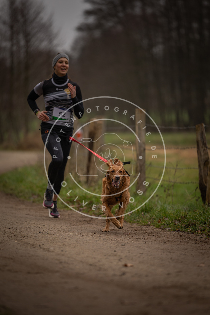 Pfotenfotografie_DV3A2925 | Hundefotografie, Tierfotograf, Pfotenfotografie, Fotoshooting Hund, Hunde Portrait, Hundesport, Hundeportraits, Heideshooting, Hunde, Sportfotograf, Hundefotograf, Turnierhundsport, THS,  - Realisiert mit Pictrs.com