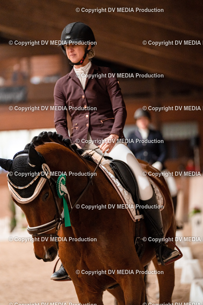 Dressur Tag 3-235 | dv-media-shop - Realisiert mit Pictrs.com